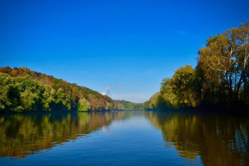 Martin'S River Cabin Dresden エクステリア 写真
